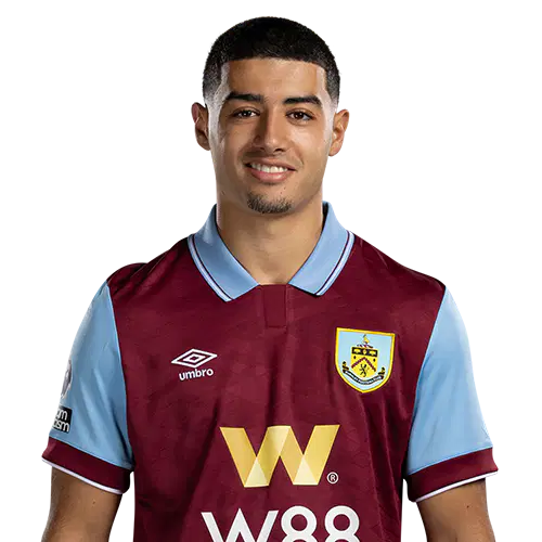 Анасс Зарури