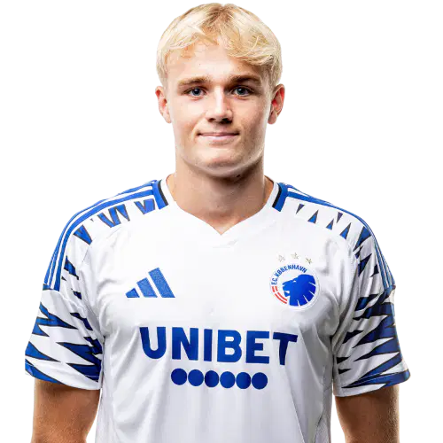 Виктор Фрохолдт