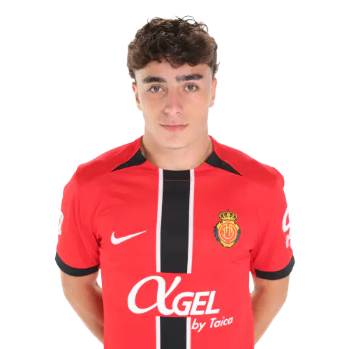 Ян Вирджили